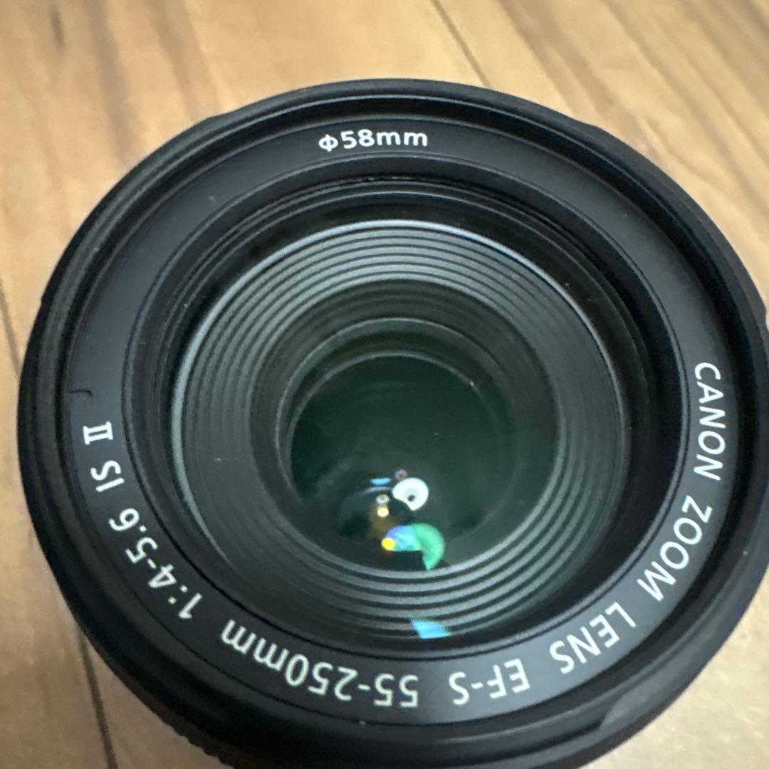 Canon EF-S 55-250mm レンズ