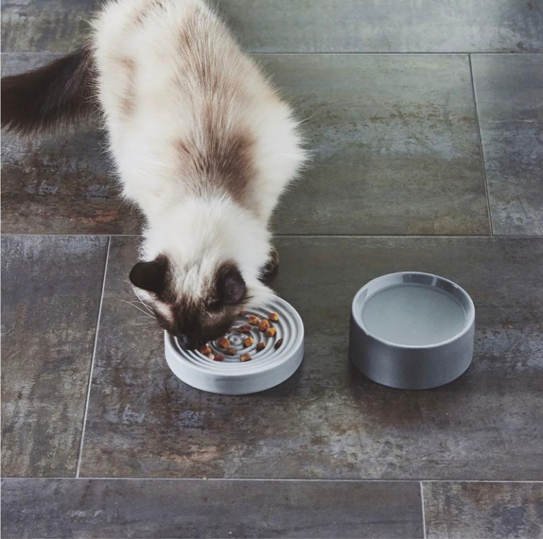 日曜までSALE★MiaCara 猫用フードボウル・ウォーターボウル
