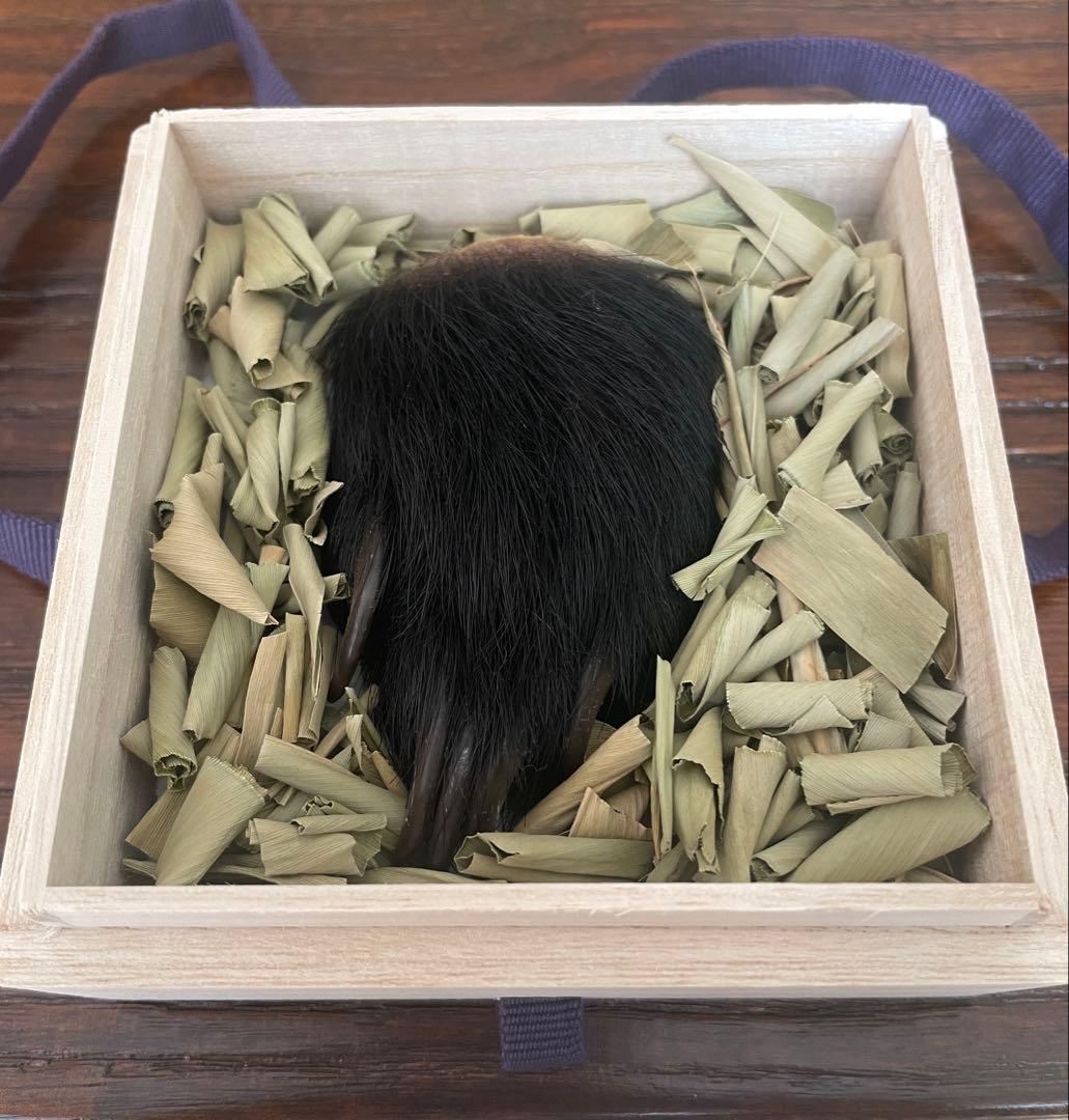 子熊の手/手芸/素材/魔除け/お守り/厄除け/置物/剥製