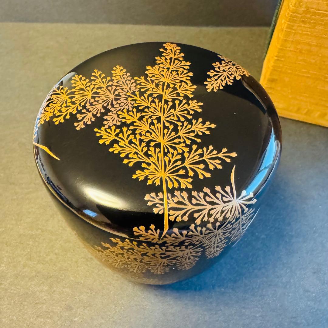 茶道具　羊歯棗　一瓢斎作　共箱付き