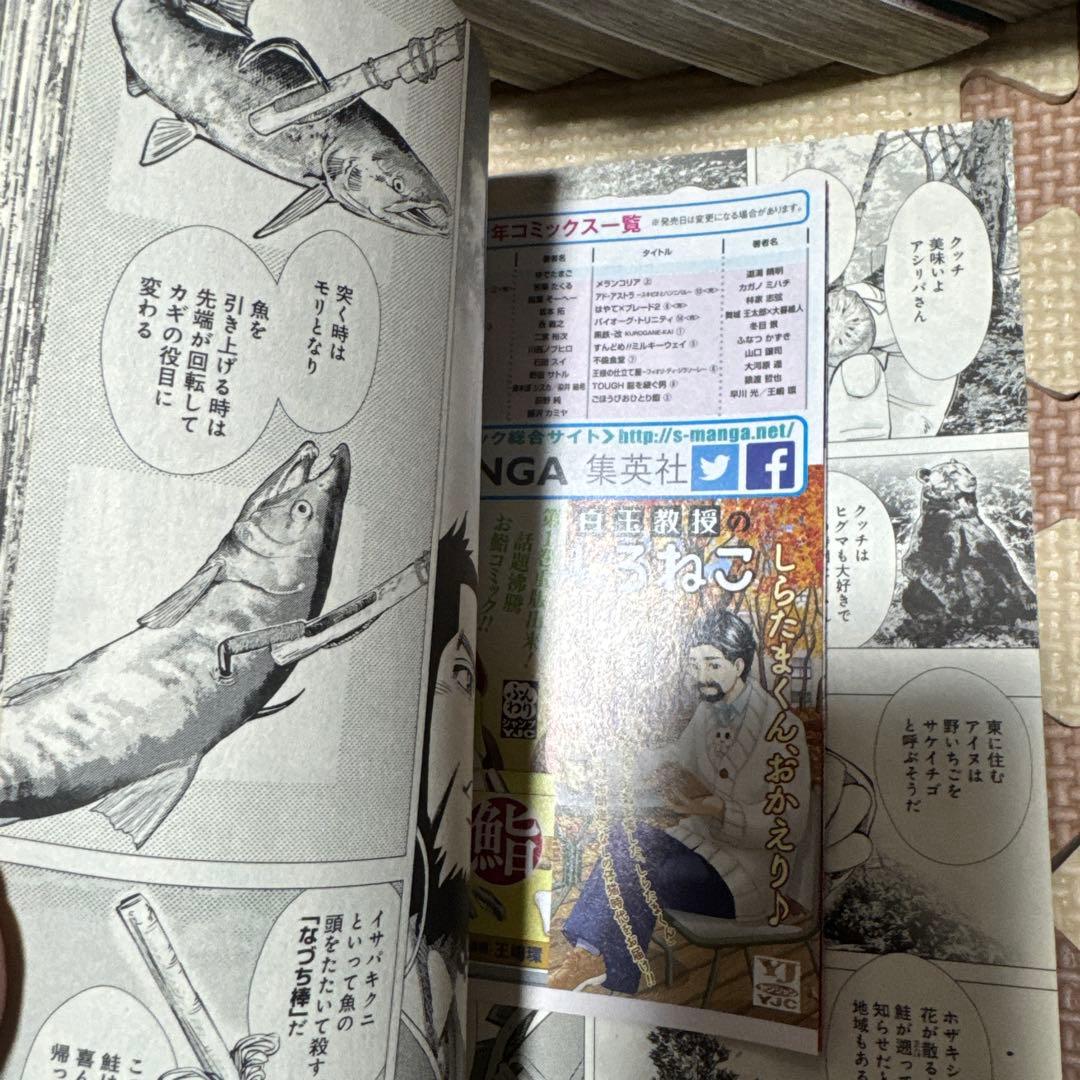 ゴールデンカムイ 単行本