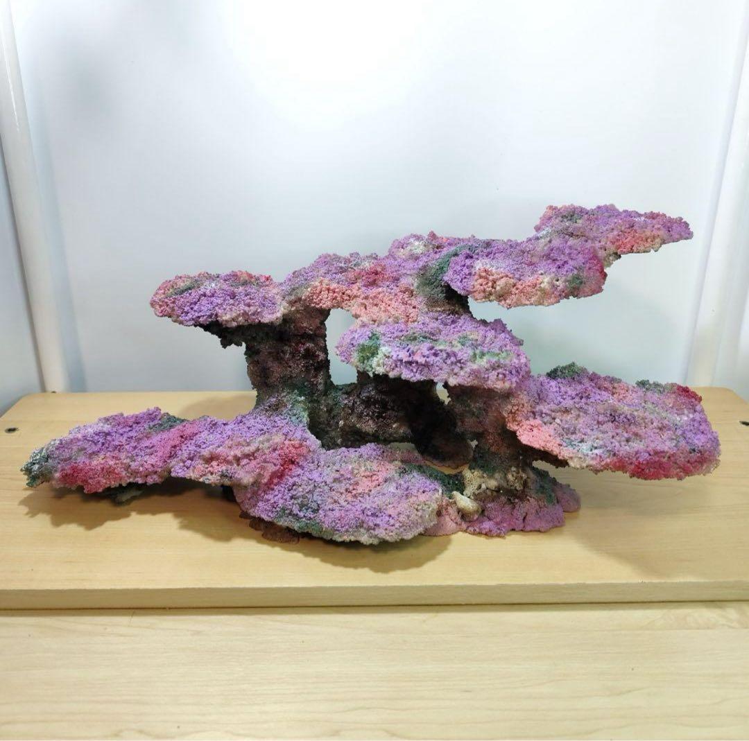 人工ライブロック 60cm海水水槽用 レプリカ 多孔質