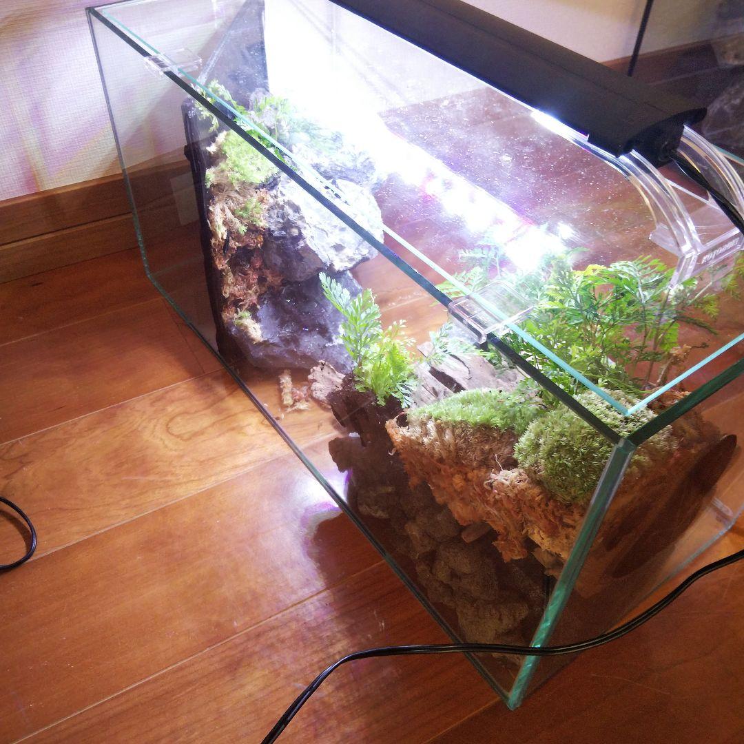 【受注生産】滝のあるアクアテラリウム　イモリウム　苔テラリウム　アクアテラリウム