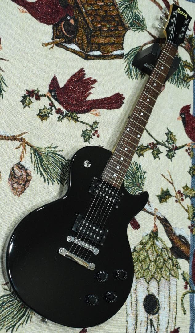 Burny Fernandes LG-480 SLG-50 ソフトケース付