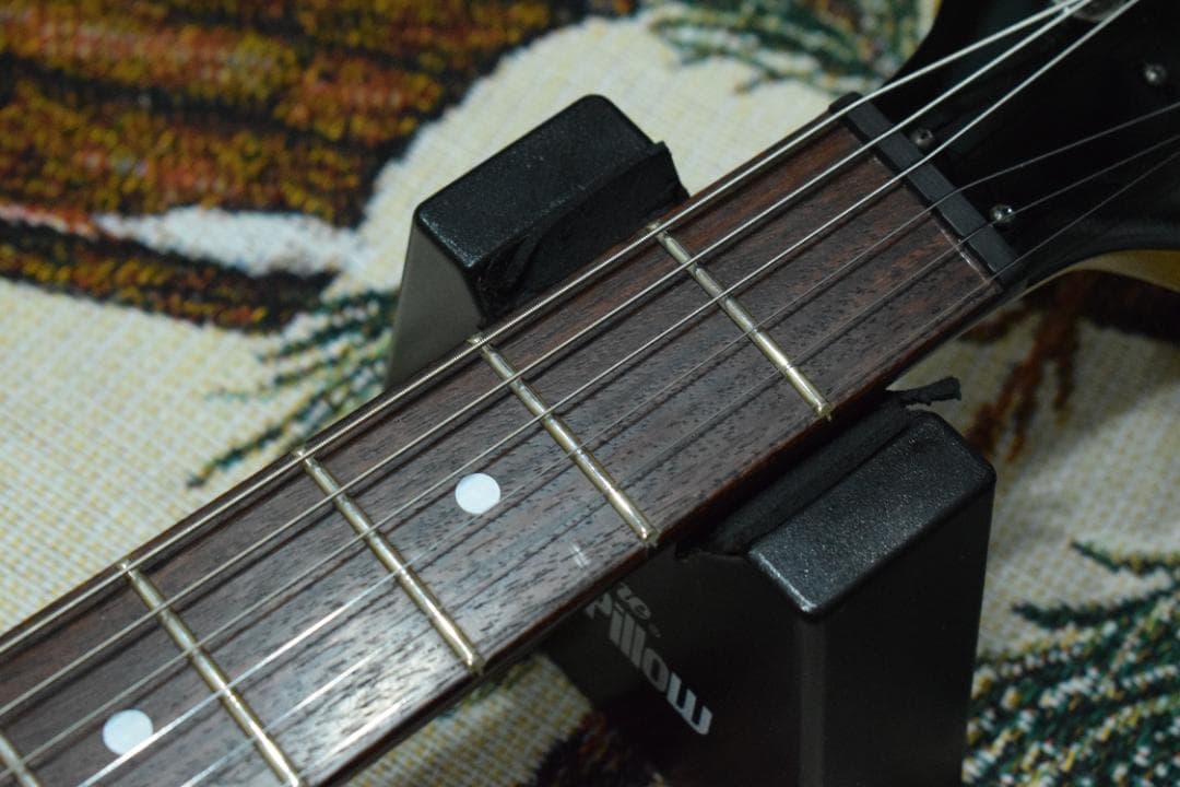 Burny Fernandes LG-480 SLG-50 ソフトケース付