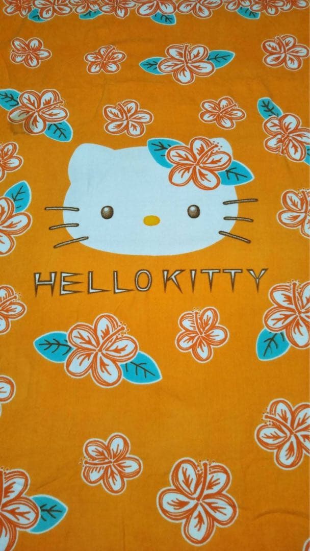 希少レア！ハイビスカスハローキティ 浮き輪とビーチタオル