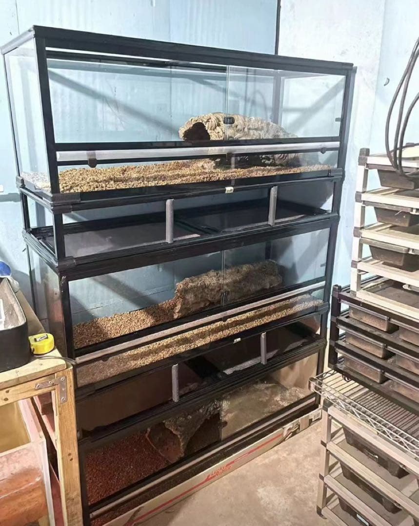 自社製組み立て式爬虫類両生類ケージガラス飼育ケージ120x60x120cm引取り