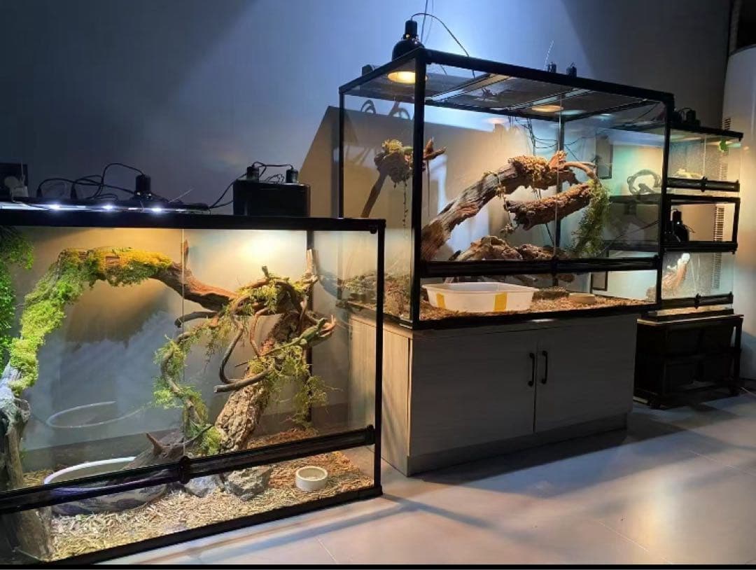 自社製組み立て式爬虫類両生類ケージガラス飼育ケージ120x60x120cm引取り