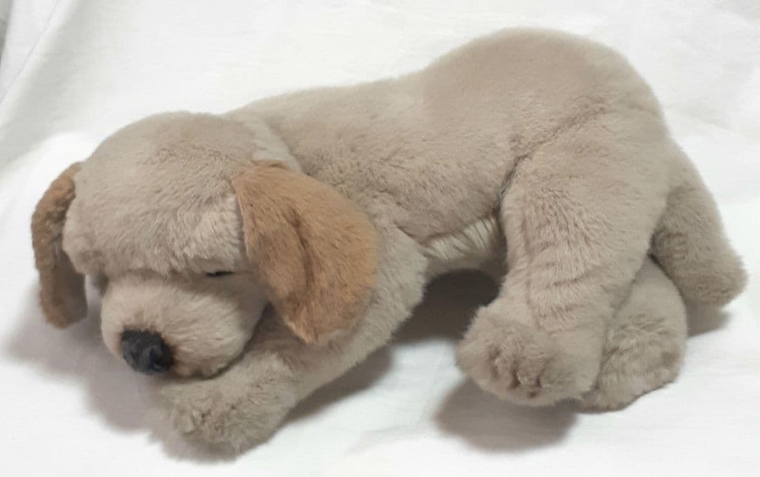 【美品】ジョックライン　JOCKLINE社　当時物　イタリア製　犬　ゴールデン