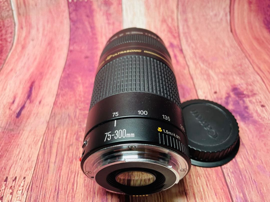 CANON キャノン EF 75-300mm 1:4-5.6 Ⅱ