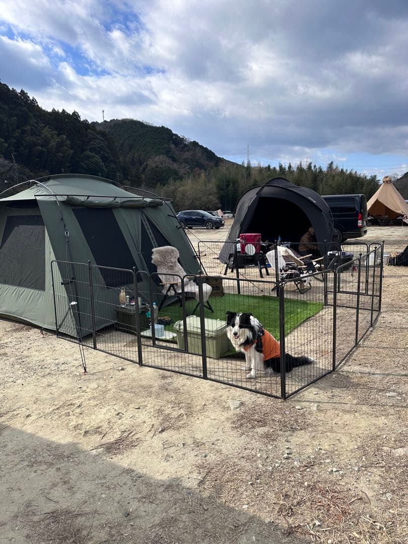 ペットサークル /フェンス ペットケージ 中大型犬用 スチール製 8枚組 ①