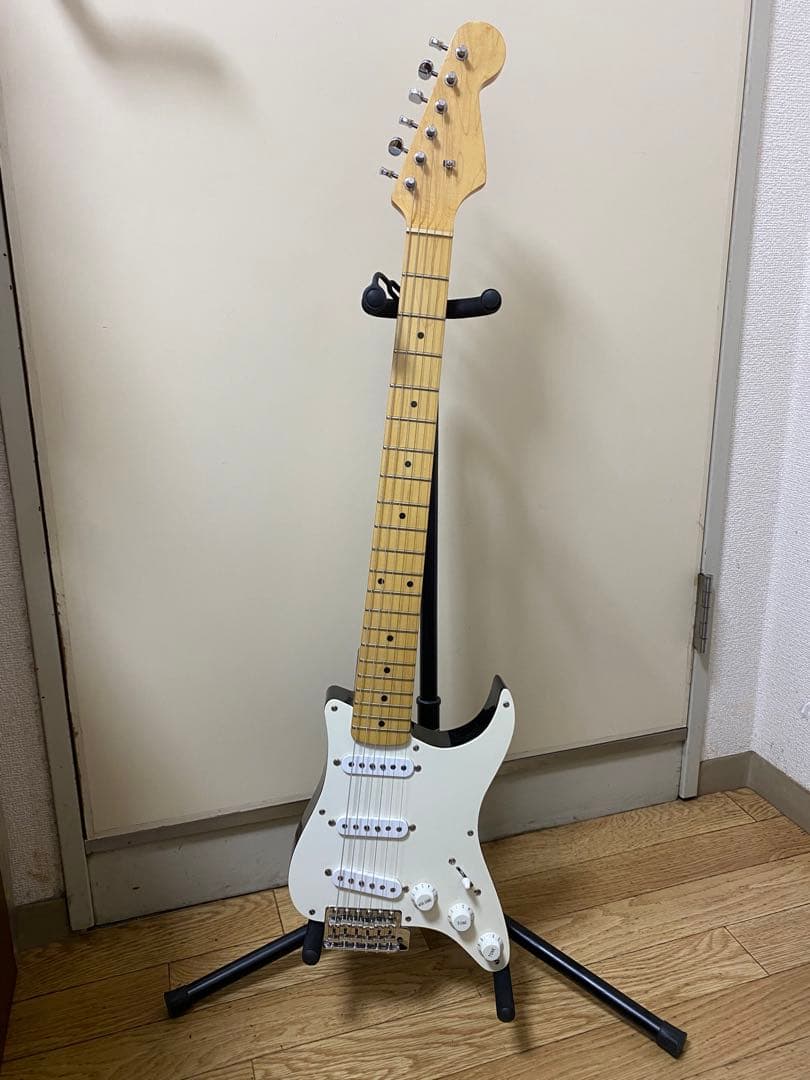 ESP Grassroots ピックガードギター GR-PGG