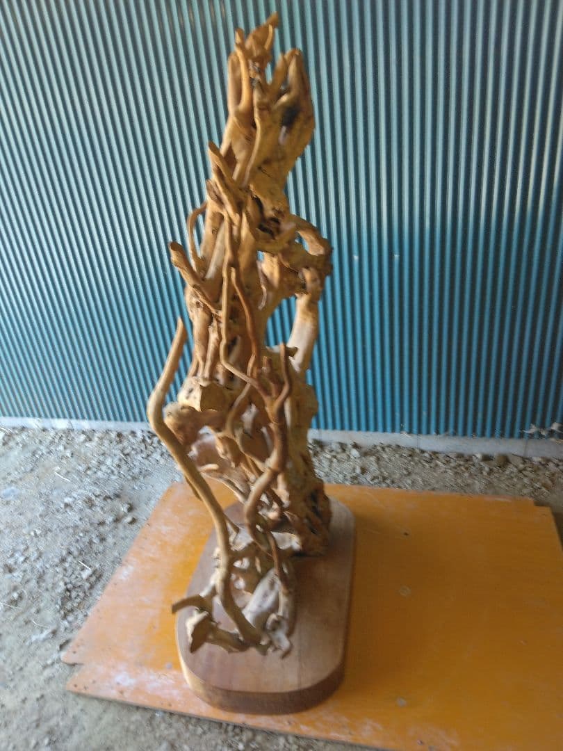 置物　衝立　オブジェ　天然木　木の根　 引き取り限定