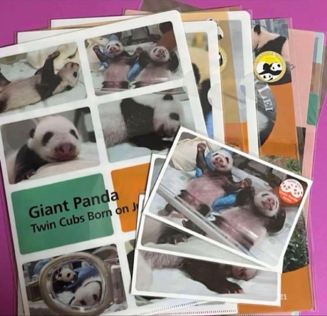 恩賜上野動物園＊シャオシャオ＆レイレイ クリアファイルとポストカードのセット