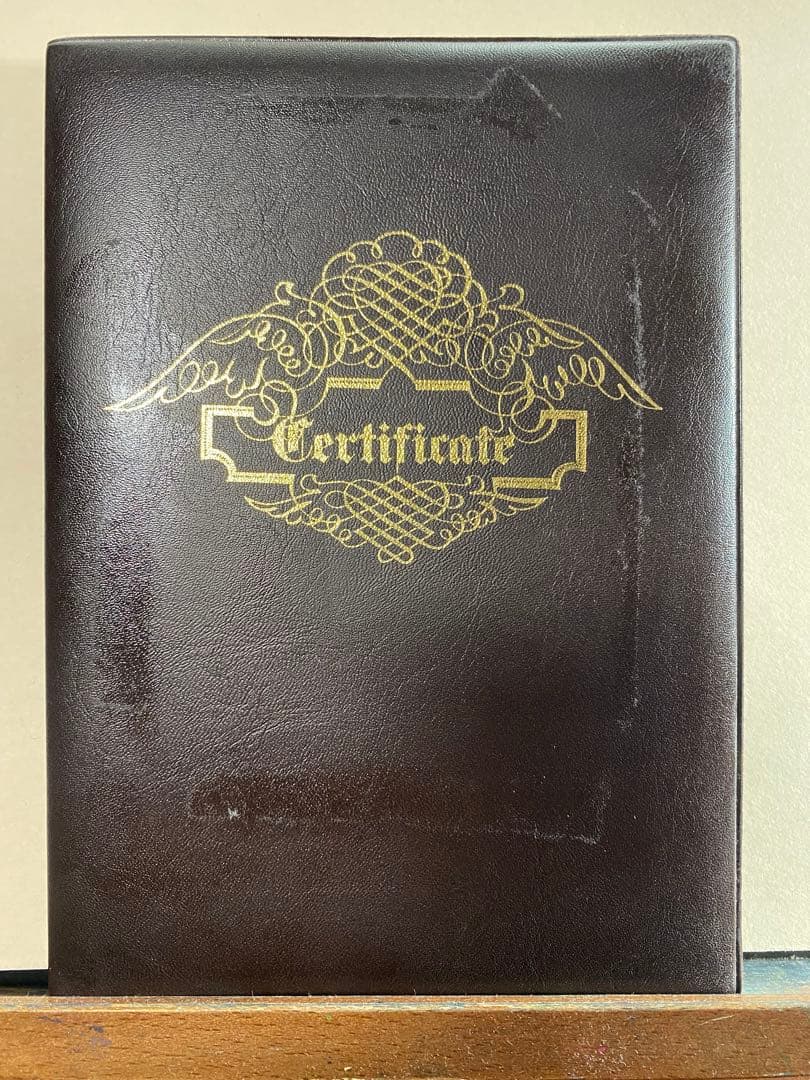 Pablo Picasso Dream リトグラフ 325/500