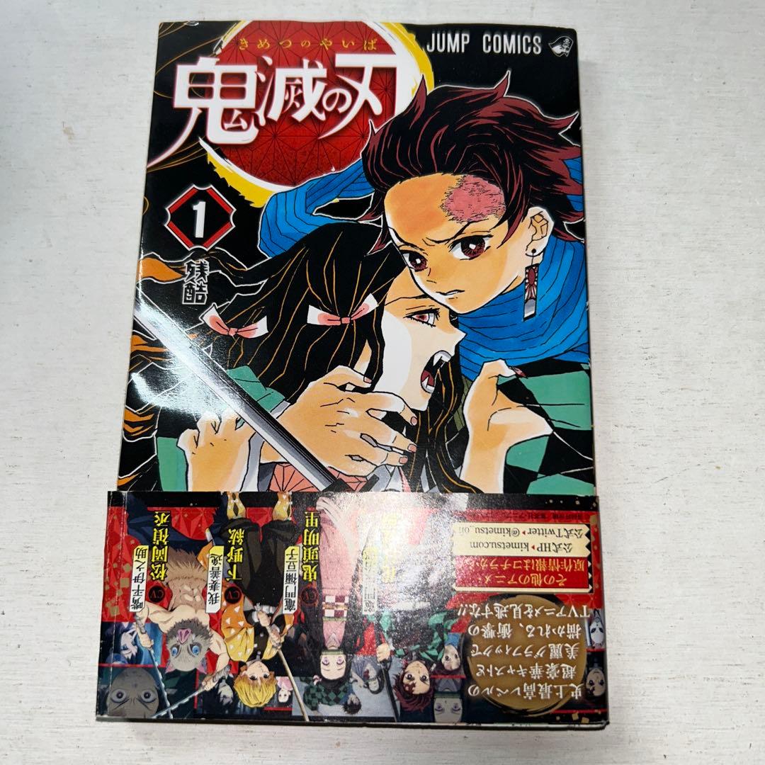 鬼滅の刃ポスター2枚&Jコミックス1〜10巻&劇場版無限列車編我妻善逸カップ&枕