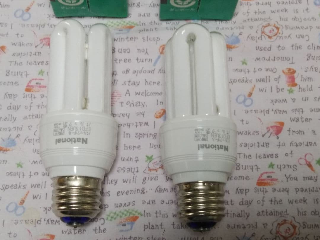 National パルックボール YOU 電球形蛍光灯    2個セット