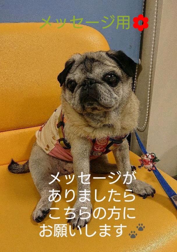 ＊＊メッセージ用＊＊