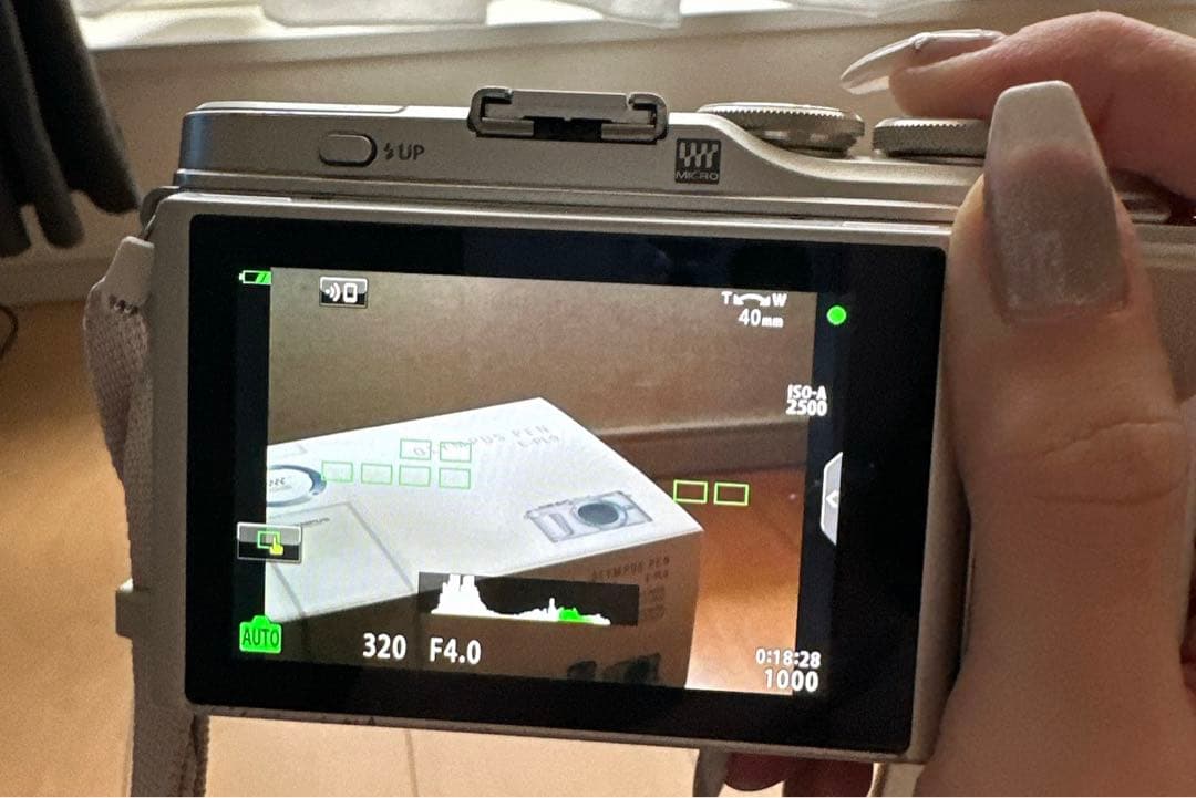 OLYMPUS PEN E-PL9 ダブルズームキット