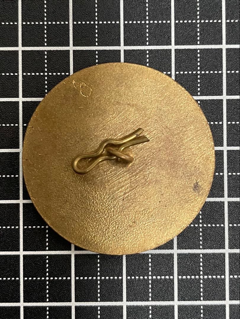 ⬇️【希少】アンティーク エナメル手書き　ボタン