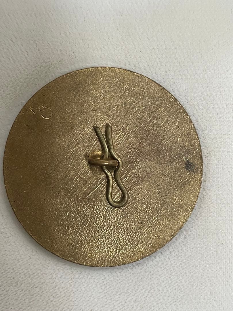 ⬇️【希少】アンティーク エナメル手書き　ボタン