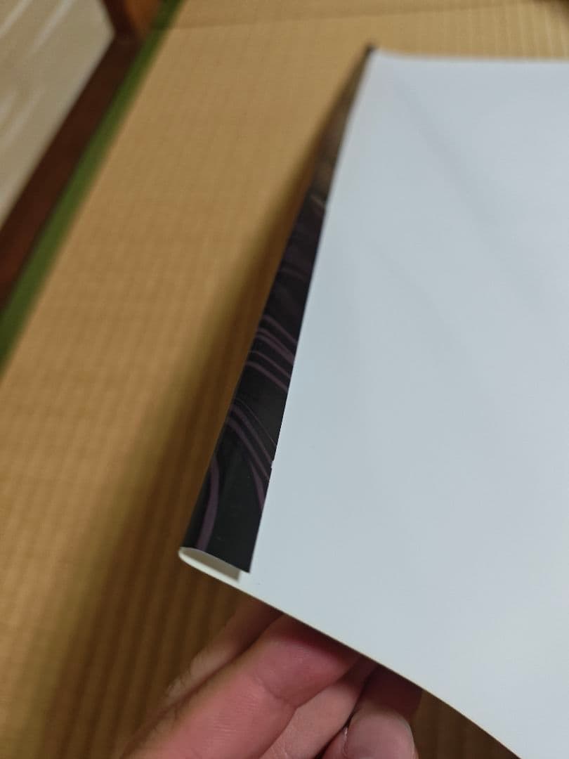 ベヨネッタ ブラッディフェイト映画 ポスター フレーム額縁付き