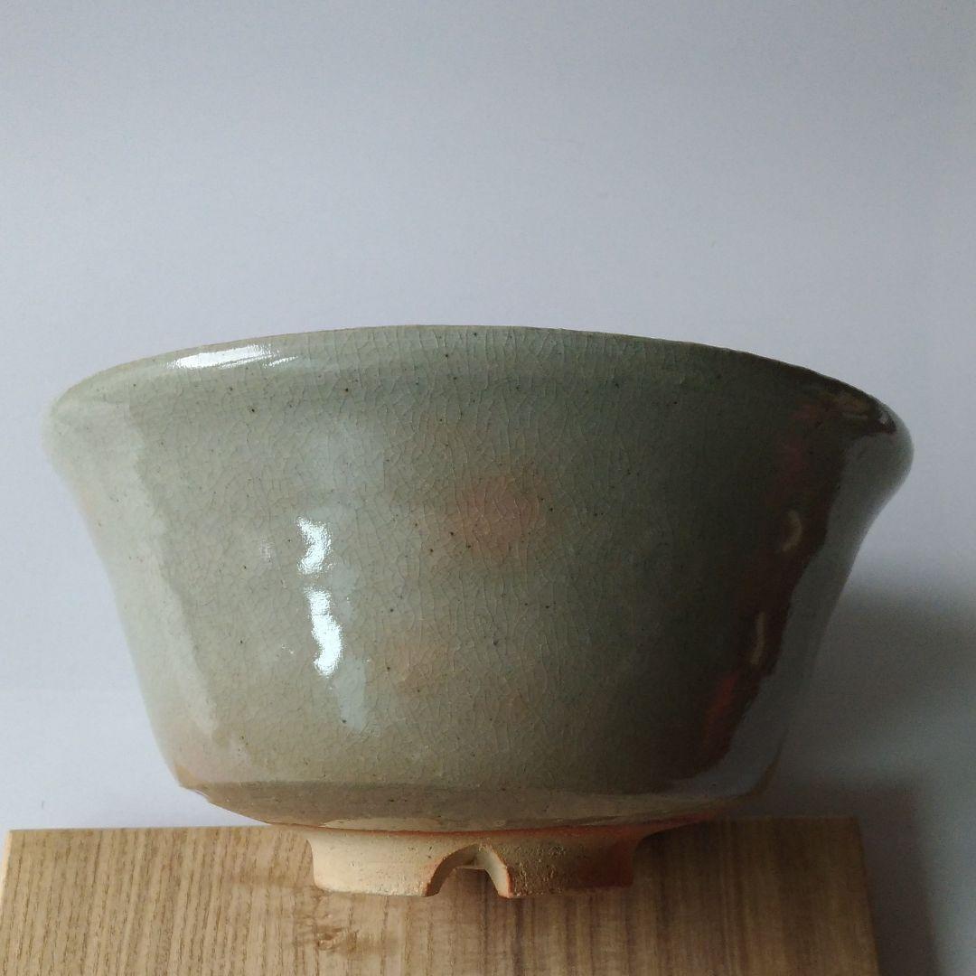 新品十五代坂倉新兵衛 萩鉢 大鉢
