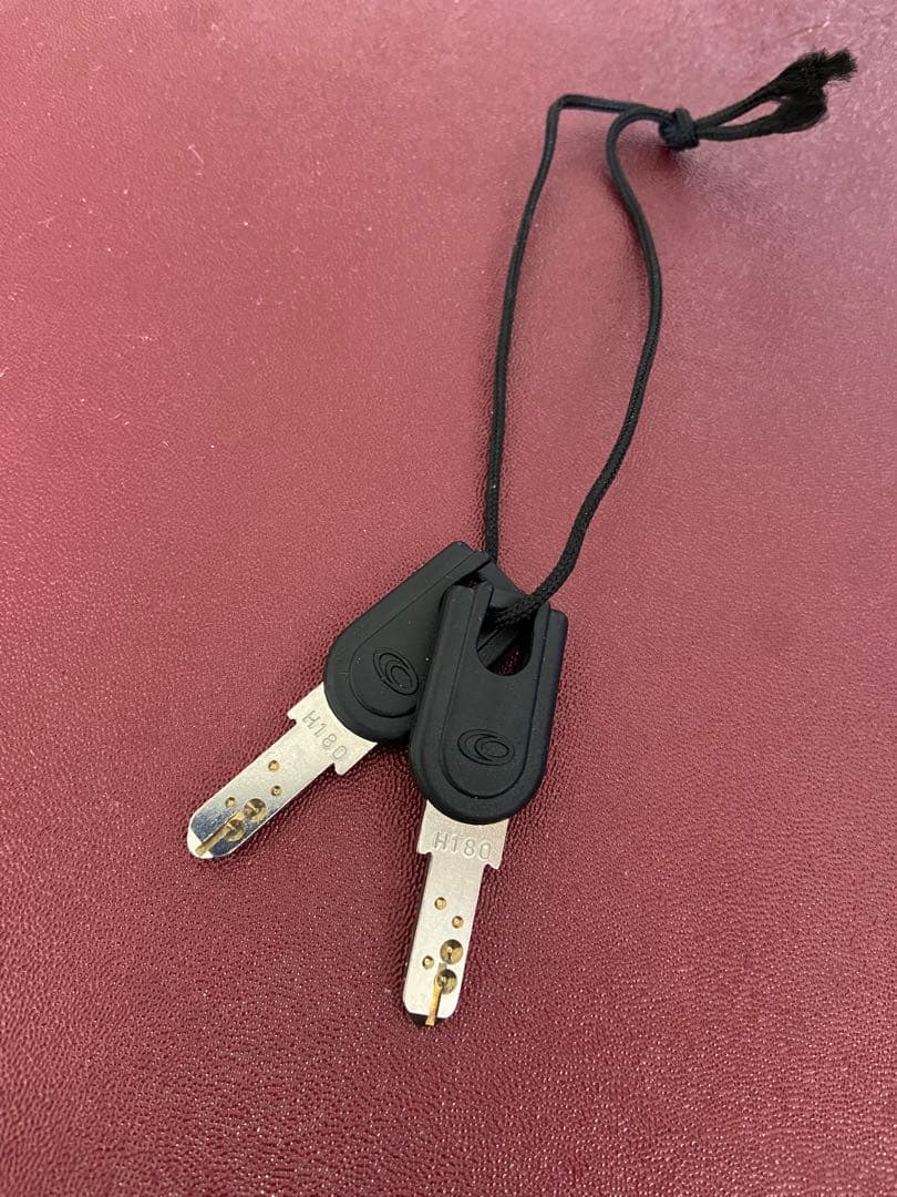 大容量 PROTECA エース プロテカ キャリーケース ビジネス　旅行 4輪