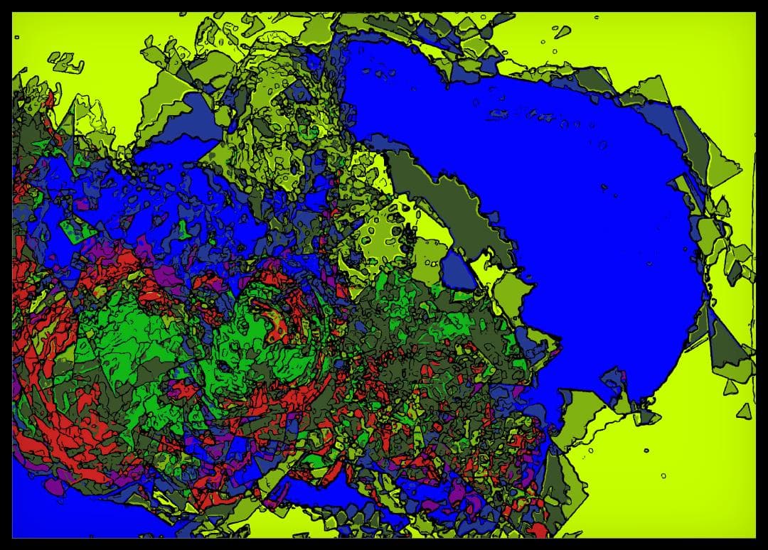 Kunpei_yamanashi　デジタルプリント  Chameleon