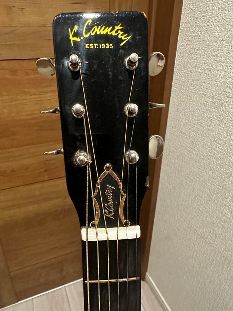 FERNANDES エレキギター 青