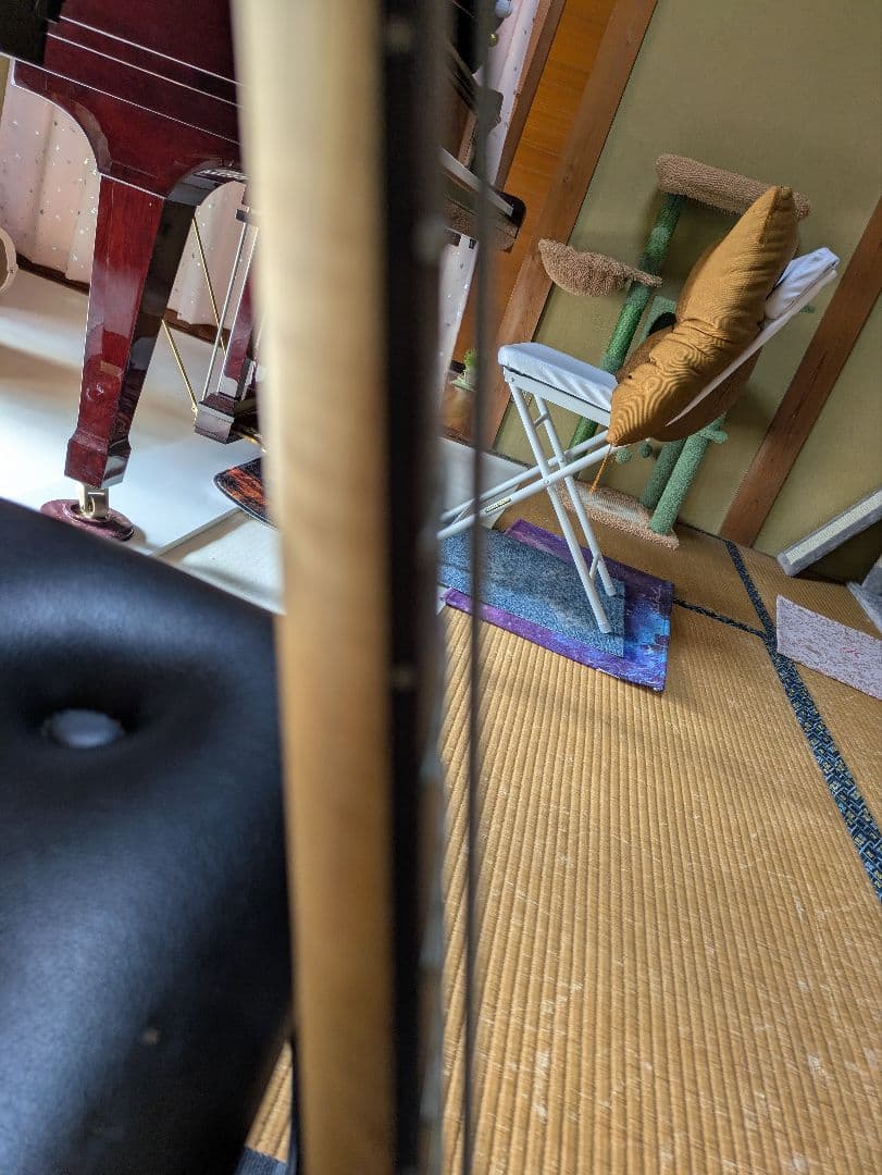 フォトジェニック エレキベース Photogenic　青　ブルー