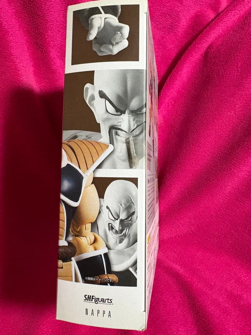 SHFiguarts ベジータ ナッパ フィギュア
