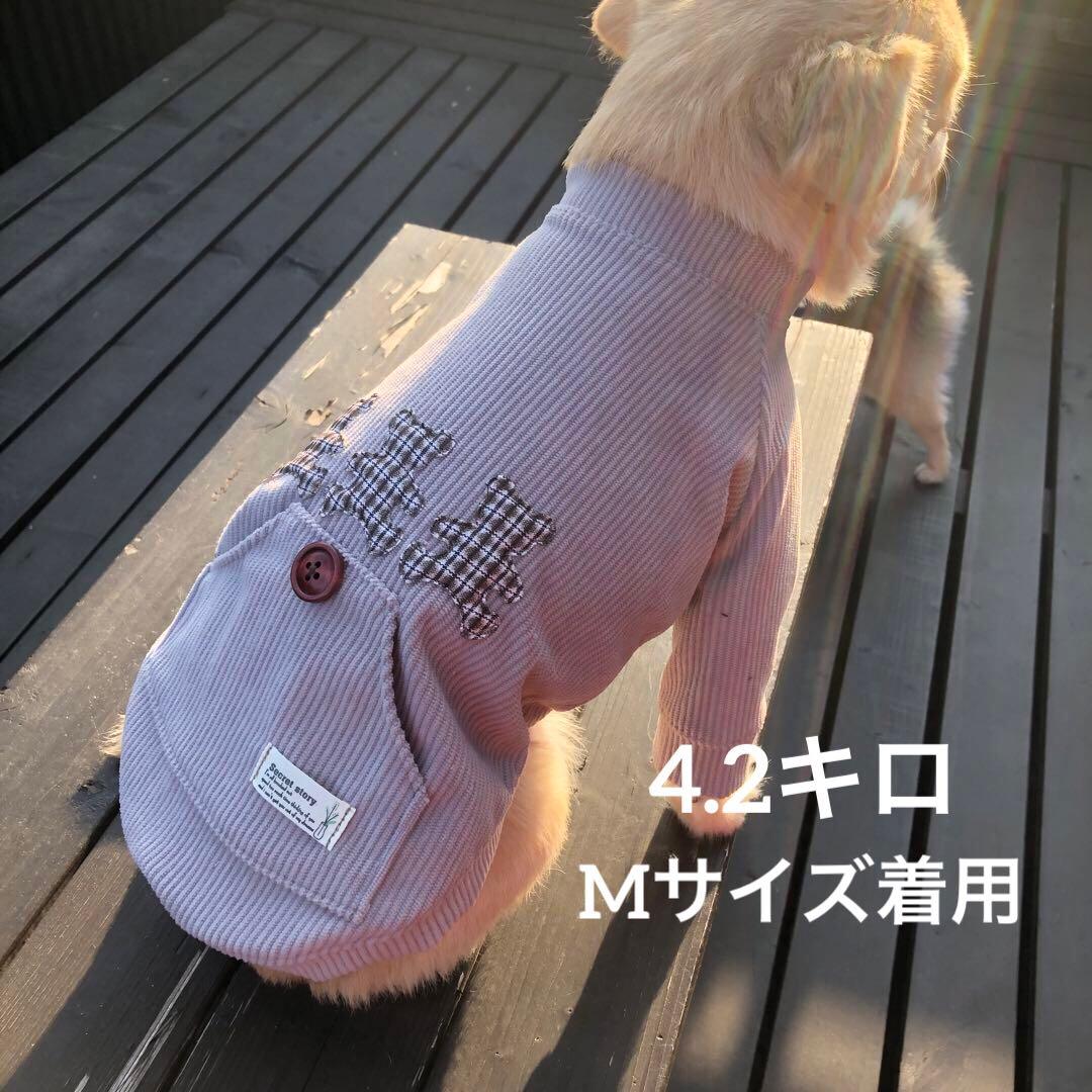 ハンドメイド　ラグランロンT　オーダー小型犬