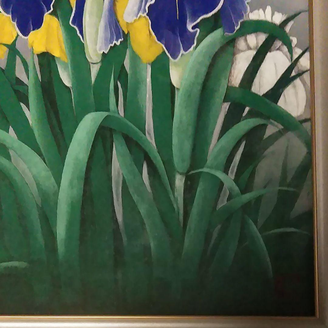 日本画(20)　菖蒲