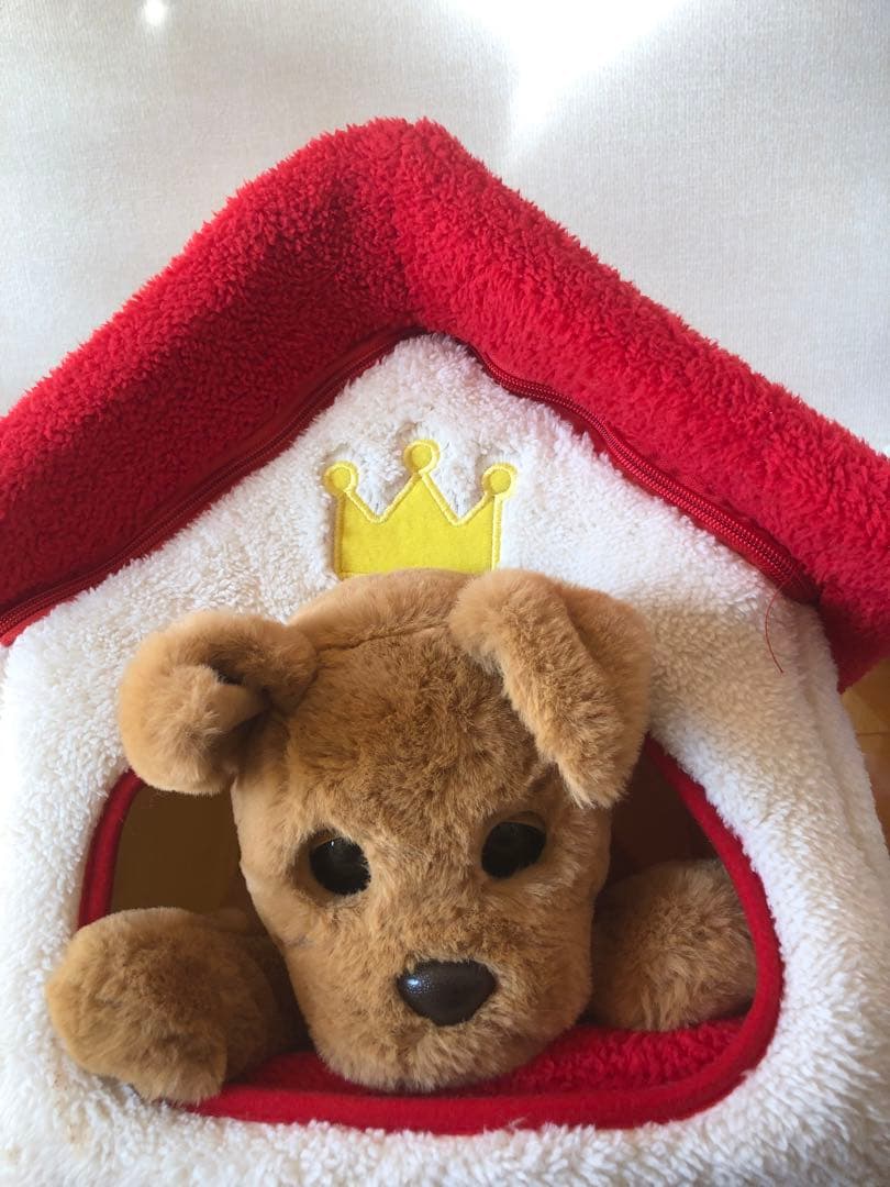 ダッキースター&ダッキーのおうち　　説明書付き　ココチモ