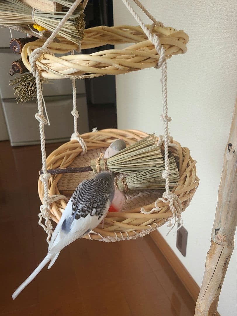 バードアスレチック　通常販売　ハンドメイド　流木