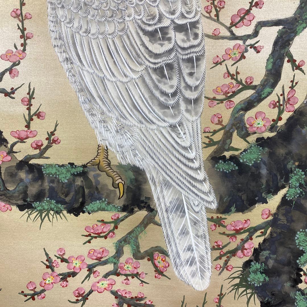 美品 掛け軸 国井柳甫作 金地 鷹に梅図 共箱 太巻き付 縁起物 厄除け