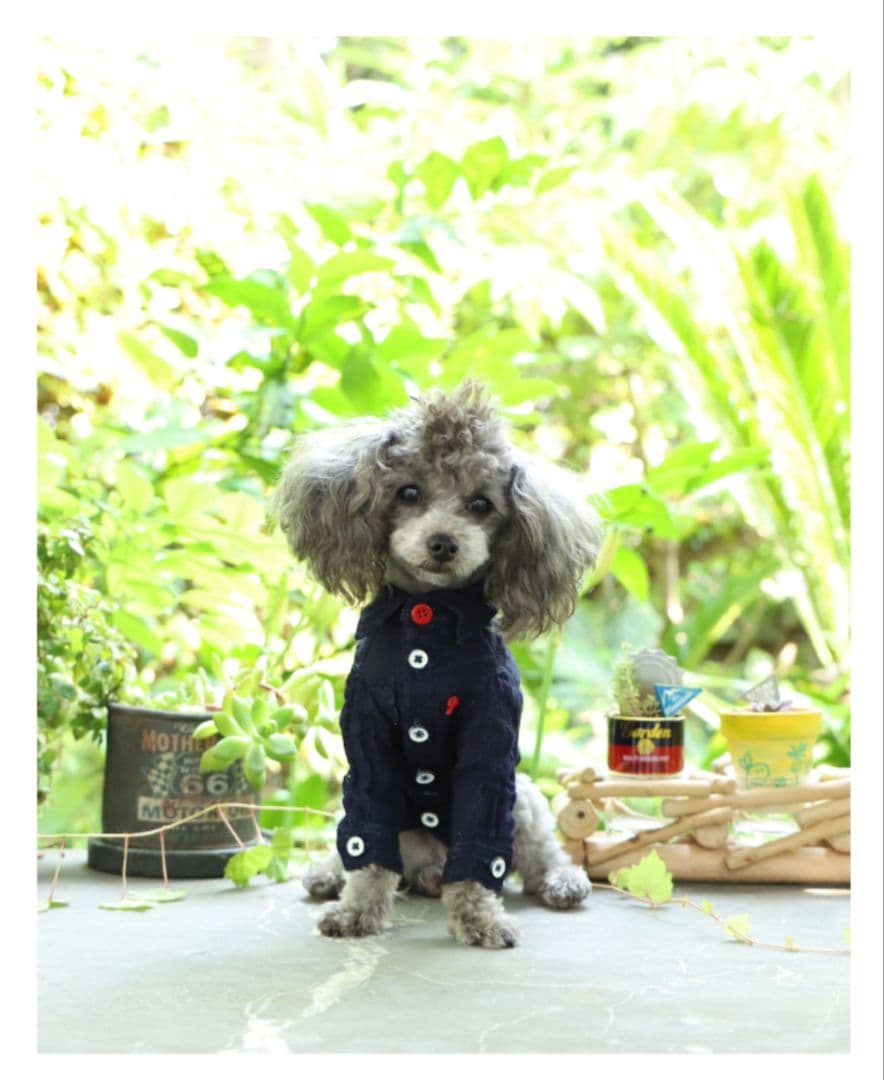 新品未使用　アトリエgg　アトリエジジ　ブルーデイズ　インディゴ　Wガーゼシャツ