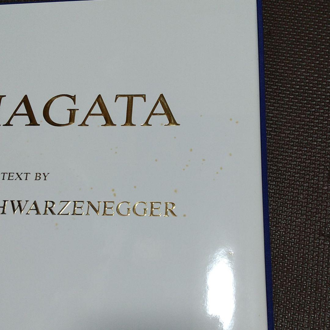 ヒロ・ヤマガタ画集