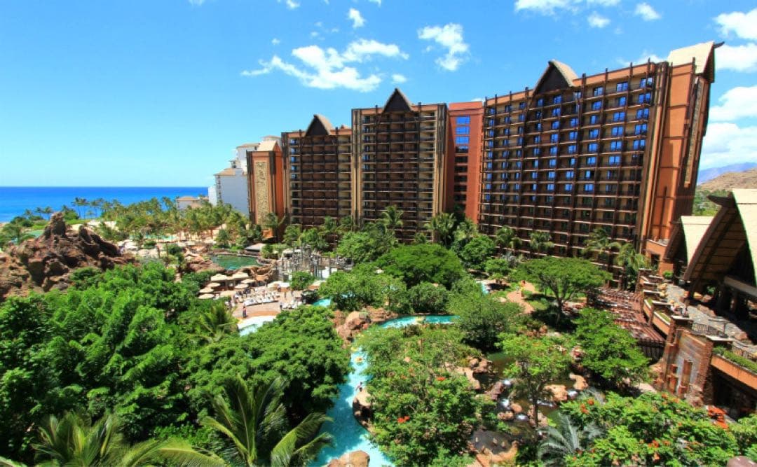 レアもの！　匿名配送 アウラニ限定 オル＋オマケ