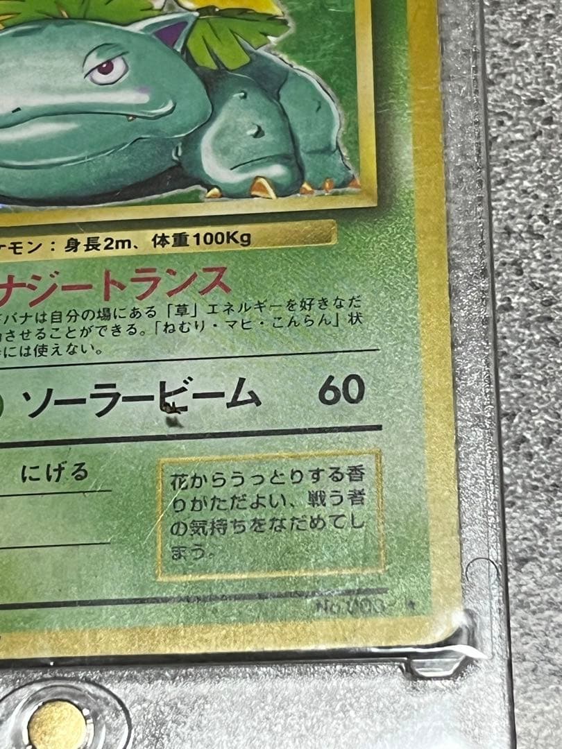 かえんリザードンLV76　フシギバナLV67 旧裏　全面微ホロ　2枚セット