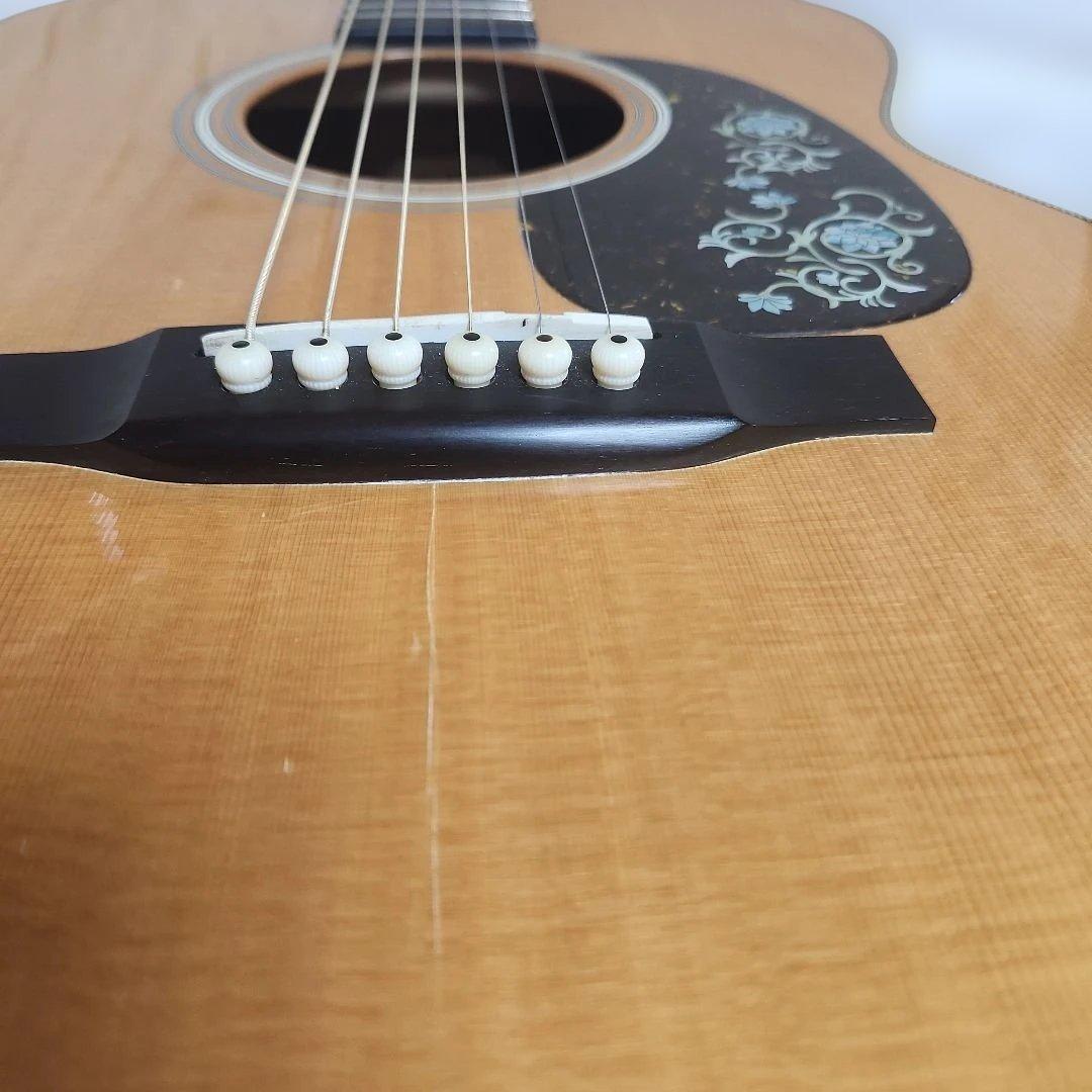 Headway HF-201 カスタム(訳アリ) 専用ケース付き