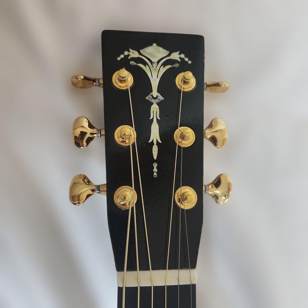 Headway HF-201 カスタム(訳アリ) 専用ケース付き