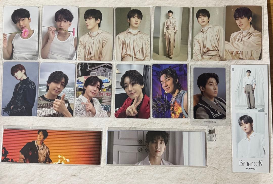 SEVENTEEN ウォヌ トレカ グッズ まとめ売り