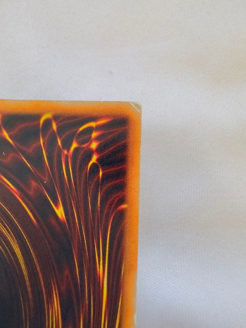 ホーリーナイトドラゴン　初期　シク