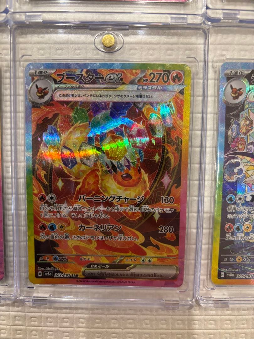 テラスタルフェスex ブイズ SAR 9枚 まとめ売りセット