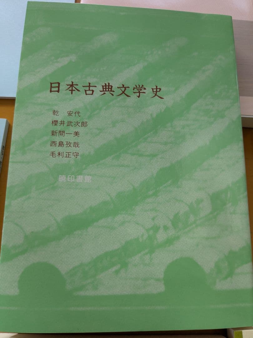 【即ご購入可能です。】聖徳大学 文学・小説 学習資料 2025年度