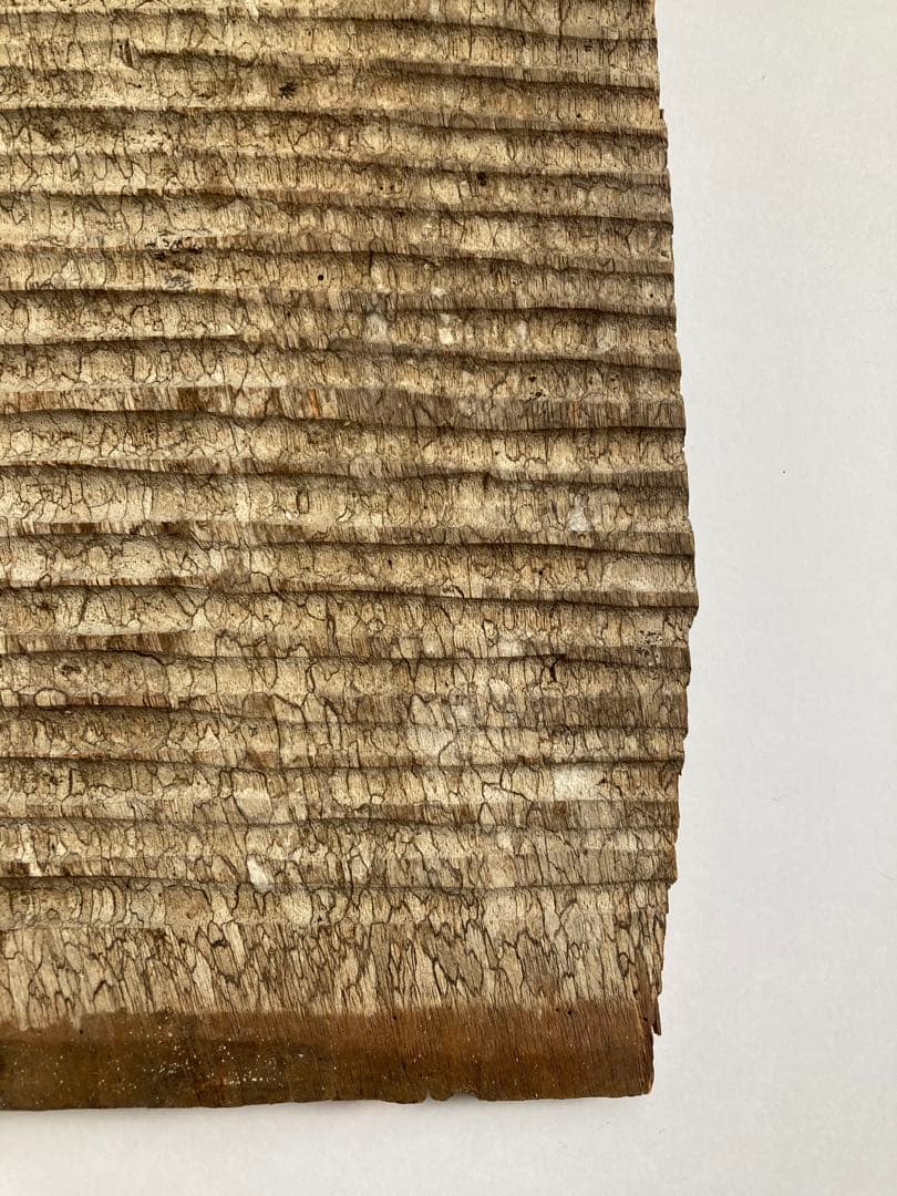 スラウェシ島　トラジャ族の穀物庫の壁板