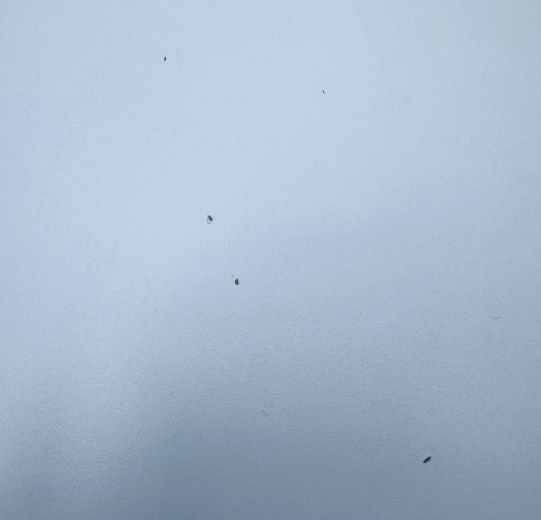 Ｋ．ひろ☆　ホワイト丸テーブル LIVINGMOTIF