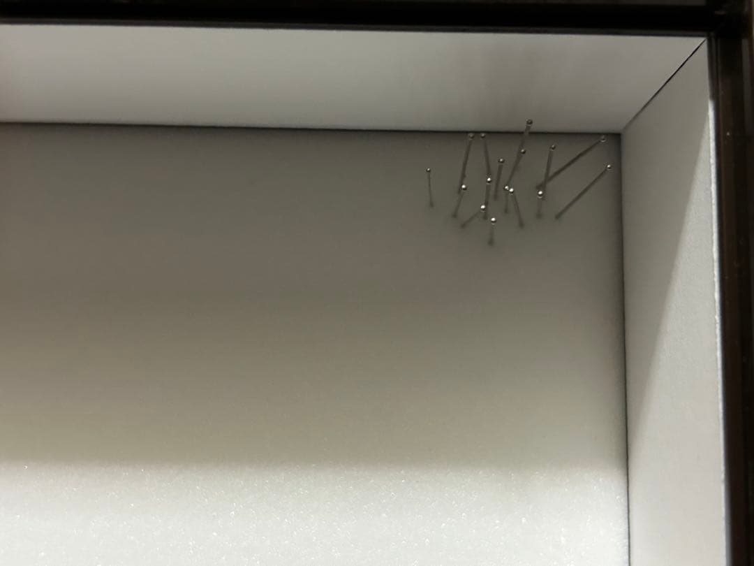 ヘラクレスオオカブト標本(亜種5種) シーラケース付き